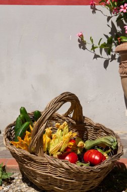 Hasır sepetin dikey fotoğrafında taze organik sebzeler, domates, patlıcan, kabak ve salatalık. Toskana, İtalya. Üst Manzara. Tarım. Yiyecekler. Sürdürülebilir yaşam tarzı