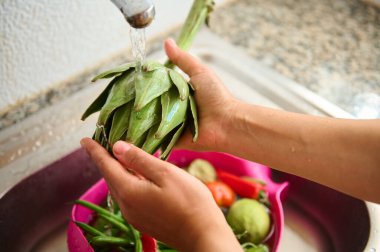 Tam üstte. Ev hanımının elleri taze organik enginar tutarken ve ev mutfağındaki lavaboda akan suyun altında yıkanırken. Yemek arkaplanı. Sağlıklı beslenme ve beslenme kavramı