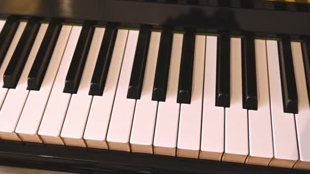 Foco Seletivo Marfim Teclas Piano Preto Piano Principal Vista Aérea — Vídeo de Stock
