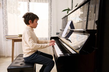 Yakışıklı genç piyanist piyano çalıyor ve kapalı mekanda şarkı söylüyor. Yetenekli genç müzisyen müzik ve şarkı yaratır, piyano çalar, bir melodi besteler. Bir genç akor enstrümanında pratik yapıyor.