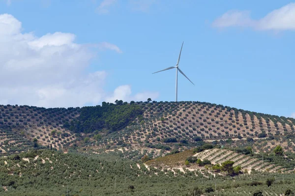 Green energy wind park with rotating high wind turbines for generation electricity, on high mountains among olive groves, over blue cloudy sky background. Green ecological power energy generation.