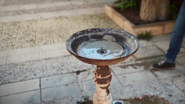Frau Trinkt Sauberes Frischwasser Aus Einem Brunnen Während Sie Den — Stockvideo
