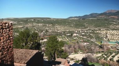 Zeytin ağacı tarlaları. Quesada 'nın panoramik manzarası - Sierra de Cazorla' da bir turistik şehir, Jaen, Endülüs, İspanya