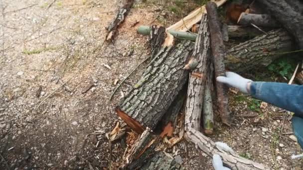 Vista Desde Arriba Hombre Recogiendo Leña Seca Bosque Para Hacer — Vídeos de Stock