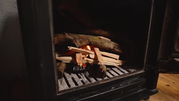 田舎の田舎の家に家族の部屋の中に暖炉がある 開いたドアが付いている燃える炎が付いている木製のバーナーストーブ 固体燃料と加熱コンセプト 人と素朴なライフスタイル — ストック動画