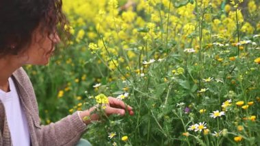 Kırpılmış otantik bir hayat tarzı portresi kıvırcık saçlı güzel bir kadın, papatya yaprağı toplarken açık çayırlarda kır çiçekleri topluyor, sevip sevmediğini merak ediyor.