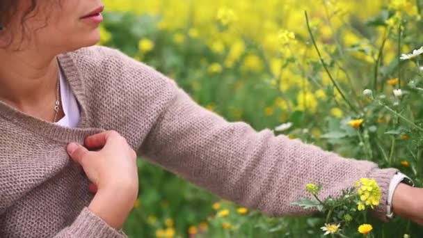 Cropped Portrait Beautiful Young Woman Plucking Petal Flowers Picking Chamomile — Stock Video