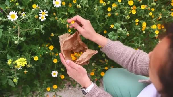 Uvolněná Šťastná Bylinkářka Botanička Lékárnice Sbírající Organické Léčivé Byliny Květy — Stock video