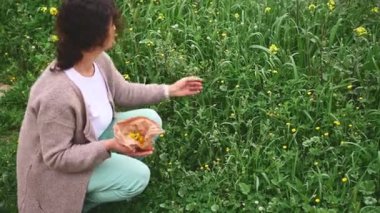 Bitki bilimci kadın, geleneksel tariflere göre, bitkisel çayı iyileştirmek için kuru malzemeler hazırlayarak, açık havada dağlarda tıbbi çiçekler topluyor. Naturopati - alternatif bitkisel bütünsel tıp