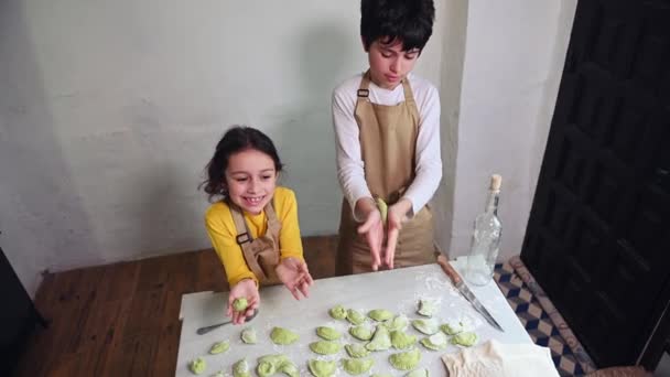 Chłopiec Dziewczyna Uczą Się Kulinarnego Zajęciach Gotowania Robią Domowe Pierogi — Wideo stockowe
