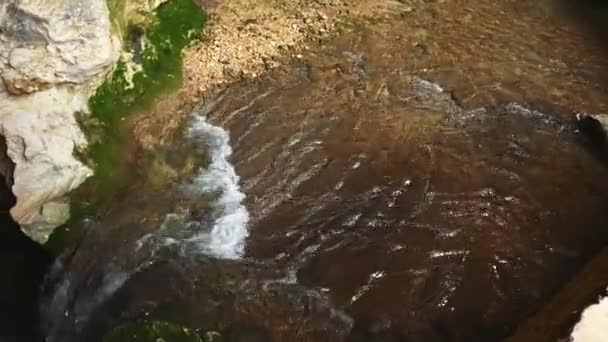 Dispararon Steadicam Una Corriente Agua Que Fluye Las Montañas Cascada — Vídeo de stock