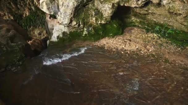 Strumień Płynącej Wody Rzecznej Tworzący Wodospad Jaskini Wody Porośnięty Dzikim — Wideo stockowe
