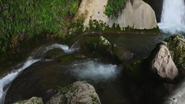 Stałe Ujęcie Górskiego Strumienia Lesie Widok Góry Wody Wodospadu Płynącej — Wideo stockowe