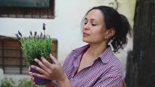 Großaufnahme Gärtnerin Gärtnerin Starrt Auf Blätter Von Lavendelsetzlingen Ihren Händen — Stockvideo