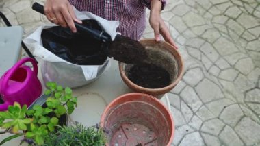 Çiçekçi kadın bahçe küreği kullanıyor, evrensel gübrelenmiş toprağı kilden bir kaba koyuyor, çiçek açan lavanta ile küçük bir masada duruyor, rahat kırsal bir ev bahçesinde. Çiftçilik Bahçecilik Çiçekçilik