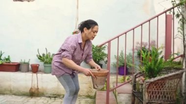 Arka bahçede çalışan, çiçek eken ve ev bitkileriyle ilgilenen bir kadının tam boy otantik portresi. Bahçıvan bahçıvan çiçekçi çalışıyor.