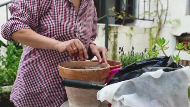 Κοντινό Πλάνο Θηλυκό Κηπουρός Σπέρνει Σπόρους Και Βάζοντας Λίγο Γονιμοποιημένο — Αρχείο Βίντεο