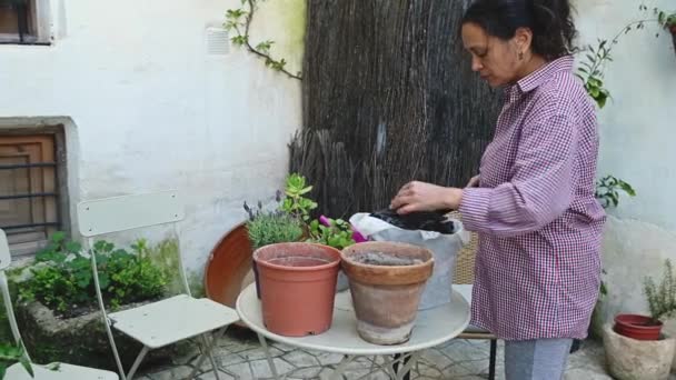 여자가 냄비에 보편적인 토양을 묘목을 정원에서 사람들 보타니 식물의 — 비디오