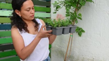 Bahçeyle uğraşan bir kadının yakından görüntüsü, elinde büyüyen lavanta tohumlarıyla dolu bir tepsi, inceler ve inceler. Bahçecilik. Çiçekçilik. Çiçekçilik. İnsanlar, hobiler ve eğlence.