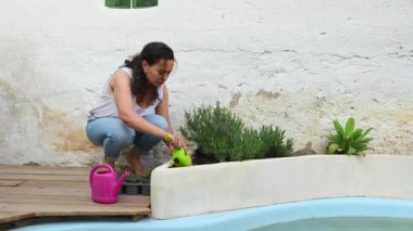 Genç, çok ırklı, güzel bir kadının tam boy videosu. Amatör bahçıvan çiçekçisinin çiçek tarlasında lavanta tohumu ekmesi. Kırsal evinin arka bahçesini dekore etmesi.