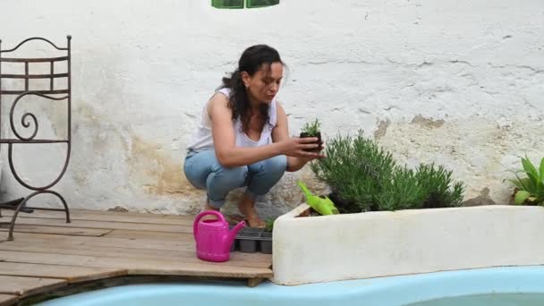 Unge Kvinne Blomsterhandler Engasjert Hagearbeid Grave Jord Plante Frøplanter Dekorative – stockvideo