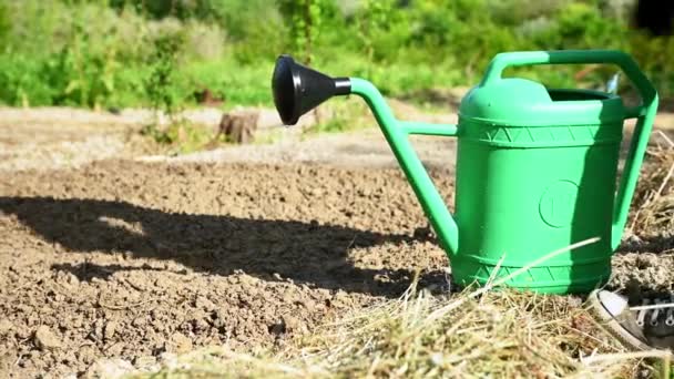 Jardinero Cerca Utilizando Regadera Para Regar Suelo Con Semillas Vegetales — Vídeo de stock