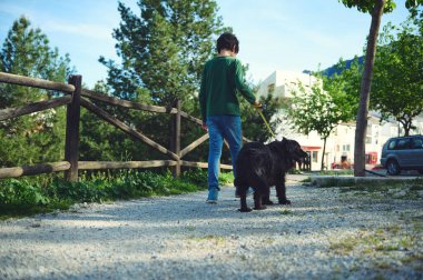 Çocuğun tasmalı bir köpeği gezdirdiği arka manzara. Okul çağındaki çocuk evcil hayvanıyla doğada vakit geçiriyor. İnsanlar ve hayvanlar konsepti. Tam boy portre