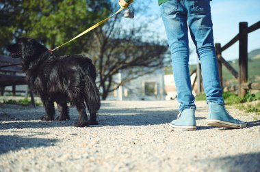 Evcil köpeğini tasmayla gezdiren bir çocuğun arka görüntüsü. İnsanlar ve hayvanlar kavramı.