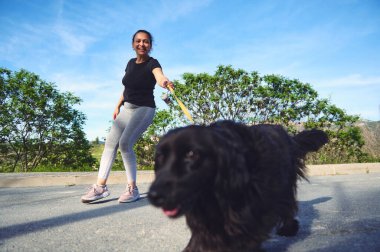 Köpeğini gezdiren mutlu bir kadın. Gri tayt ve siyah tişört giymiş güzel bir bayan sporcu cocker spaniel hayvanını tasmayla gezdiriyor. - İnsanlar. Hayvanlar. Doğa. Evcil hayvan konsepti