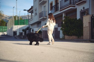 Cocker spanyel köpeğiyle gezen küçük bir kızın manzarası.