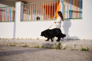 Şirin bir kız çocuğu, duvar ve dışarısı renkli çitlerle kaplıyken siyah safkan cocker köpeğini gezdiriyor. Tam boy kenar portresi