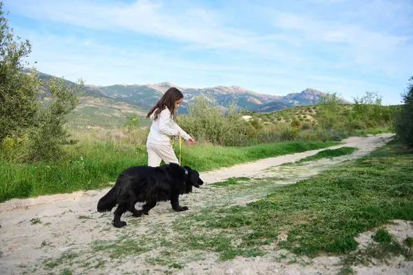 Sevimli Avrupalı çocuk köpeğini gezdiriyor. Güneşli bir günde, dağlarda, açık havada, siyah safkan bir cocker spaniel. - İnsanlar. Doğa ve evcil hayvan konsepti. Arka görünüm