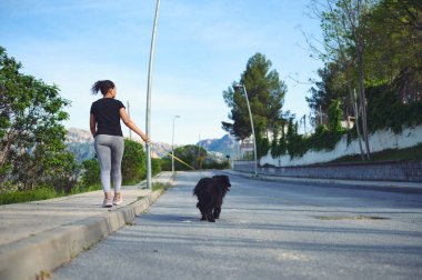 Arka planda mutlu çoklu etnik kadın tasmalı köpeğini dolaştırıyor. Spor giyim kuşağında gülümseyen bir kadın, soylu cocker spaniel 'i ile dışarıda yürümekten zevk alıyor. İnsanlar ve evcil hayvanlar kavramı