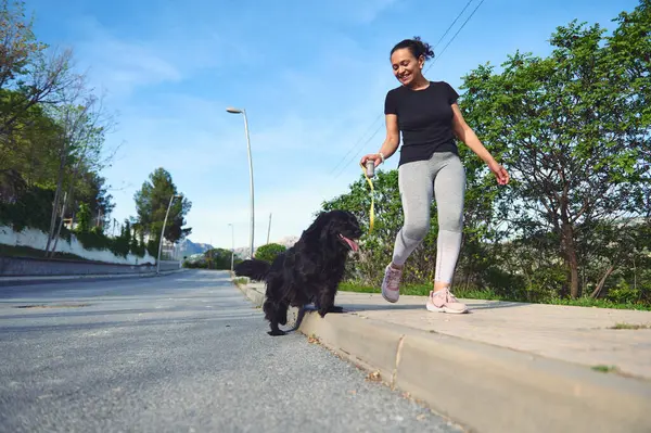 Doğada köpeğini gezdirmekten zevk alan mutlu bir kadın. Güzel bayan atletik kadın, güneşli bir günde siyah cocker köpeğini yürüyüşe çıkarıyor. - İnsanlar. Evcil hayvanlar