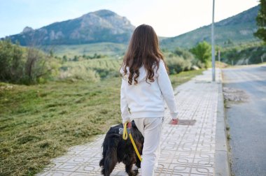 Cocker spaniel köpeğini alıp dağların arka planına doğru yürüyüşe çıkan şirin küçük bir kızın arka planına bakıyorum. - İnsanlar. Evcil hayvanları oynuyorum. Doğa. Yaşam tarzı. Çocukluk