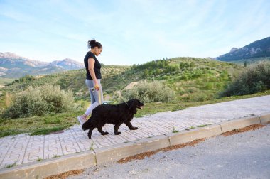 Mutlu kadın safkan cocker spaniel köpeğiyle vakit geçiriyor, evcil hayvanıyla dışarıda eğleniyor. Evcil hayvanlar, hayvanlar ve insanlar konsepti