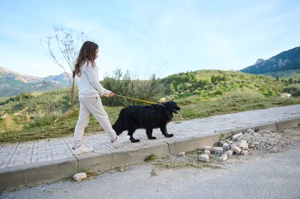 Küçük kız cocker spaniel köpeğini gezdirmeye götürüyor doğada dağların arkasına karşı.