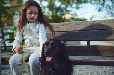 Küçük sevimli bir kızın portresi ve onun evcil hayvanı, açık hava bankında cocker spaniel. Şirin çocuk köpeğini doğa yürüyüşüne çıkarıyor. Çocuklar ve hayvanlar. Aşk, ilgi ve empati kavramı