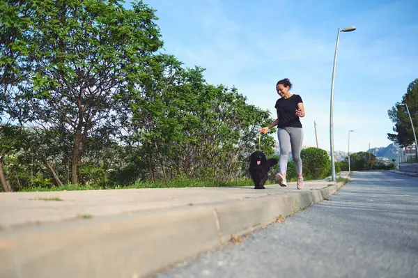 Güneşli bir yaz gününde köpeğini tasmayla gezdiren genç bir kadının ön görüntüsü. Güzel bayan sporcu sabah evcil hayvanıyla koşuyor. İnsanlar ve evcil hayvanlar