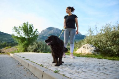 Safkan, siyah cocker spaniel köpek evcil hayvanının doğa arka planındaki dağlara karşı tasmayla gezdirilmesine özen gösterin. Evcil hayvanları oynuyorum. İnsanlar, doğa ve hayvanlar konsepti