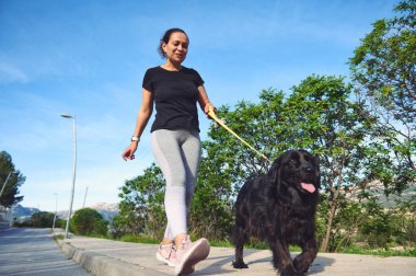 Çok ırklı, mutlu, spor elbiseli genç bir kadının altından köpeğini tasmayla gezdiren ve sabah evcil hayvanıyla dağlarda koşmanın keyfini çıkaran bir manzara. İnsanlar ve evcil hayvanlar oyunu