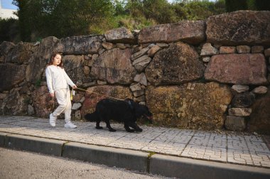 Şecereli cocker spanyel 'iyle sabah yürüyüşü yapan Avrupalı güzel mutlu bir kızın tam boy portresi. Şehir caddesinde tasmalı siyah köpeğini gezdiren tatlı bir kız.