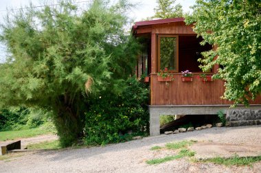 Slovakya, 29 Ağustos 2023. Güzel, ahşap bir dağ evi, Karpat dağlarının eteğindeki Slovakya köyünde kır evi, açık pencereleri saksı çiçekleriyle süslenmiş. Seyahat ve turizm kavramı.