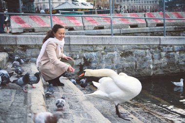 Sıcak palto ve eşarplı bir kadın su kenarında bir kuğu ve güvercinleri besliyor. Sahne, doğayla barışçıl bir etkileşimi yakalar..