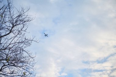 Uçak, açık mavi bir gökyüzünde, yaprakları olmayan çorak bir ağacın yanında ince bulut desenleriyle yakalandı..