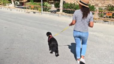 Sevecen ve neşeli bir kadın, güneşli bir yaz gününde köpeğiyle dışarıda koşan, gezen ve oynayan, sevimli, saf, siyah bir cocker spaniel ile mutlu bir zaman geçirir.