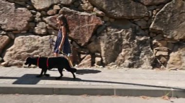 Uzun saçlı, çiçek desenli elbisesi olan, elinde bir buket taze toplanmış lavanta çiçeği olan, köpeğini tasmalı, taştan arka planda gezdiren sevimli bir kızın dinamik portresi.