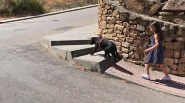 Çiçek desenli elbisesi içinde, dışarıda köpeğini gezdiren sevimli genç bir kız. Kafkasyalı mutlu sevimli çocuk caddede yürürken merdivenleri tırmanıyor, doğada soyağacıyla yürüyor.