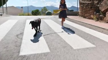 Bir buket taze toplanmış lavanta çiçeğiyle mutlu küçük bir kız çocuğu güzel bir yaz gününde köpeğini tasmayla gezdirirken zıplıyor ve gülümsüyor. Çocuklar ve evcil hayvanlar