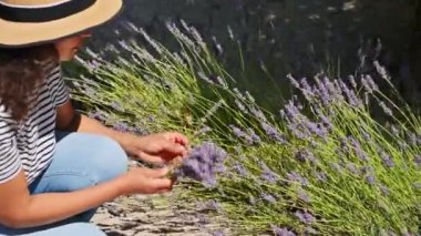 Hasır şapkalı güzel bir kadın çayırda çiçek topluyor ya da çay ya da ilaç hazırlamak için bitkisel şifalı bitkiler topluyor.